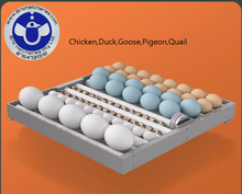 Load image into Gallery viewer, SSL-400 egg incubator Gen 2