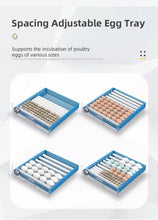 Load image into Gallery viewer, SSL-16 egg incubator
