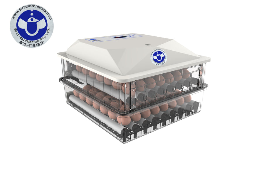 NFL-56/104 egg incubator unboxing and set-up video