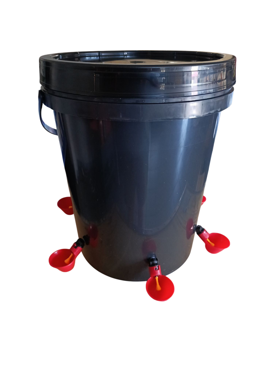 20 Liter Drinker