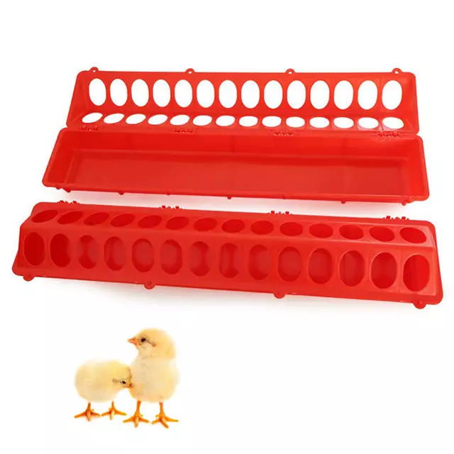 Chick feeder